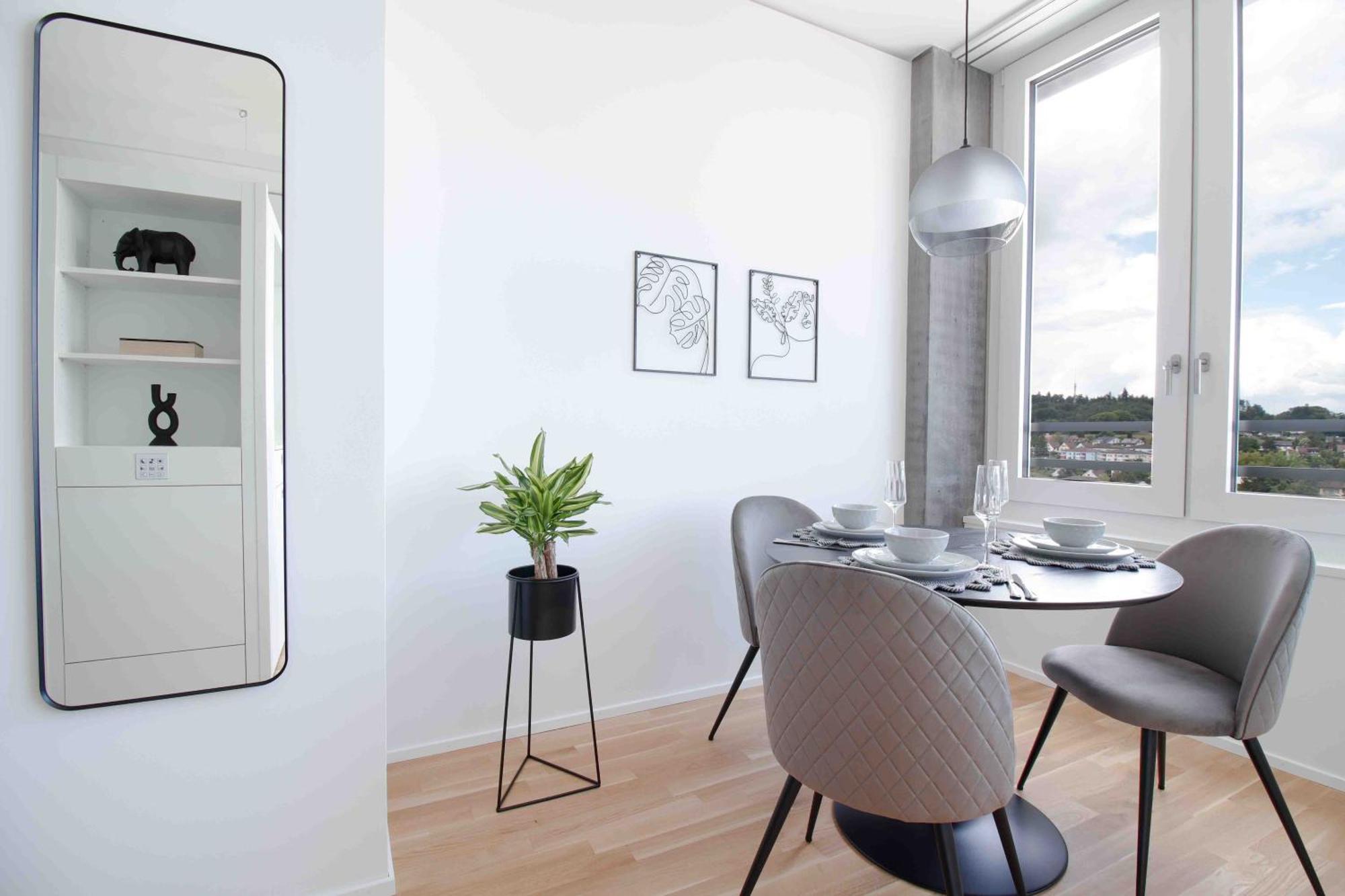 Loewe Apartments Am Rheinfall Нойхаузен ам Райнфал Екстериор снимка