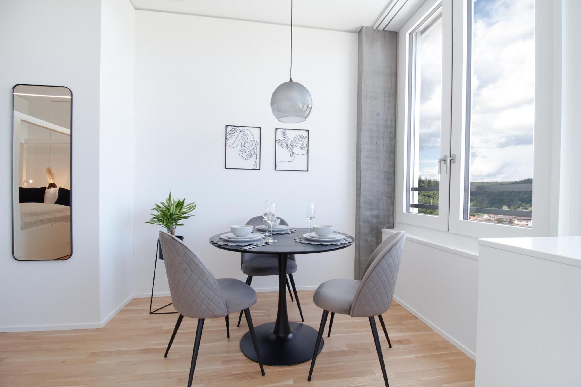 Loewe Apartments Am Rheinfall Нойхаузен ам Райнфал Екстериор снимка