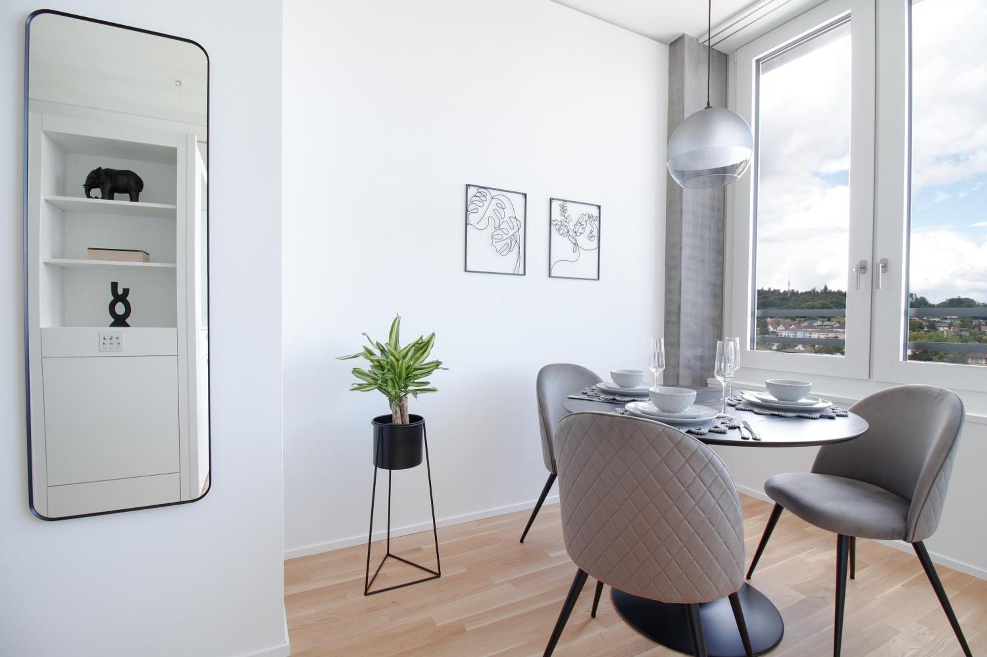 Loewe Apartments Am Rheinfall Нойхаузен ам Райнфал Екстериор снимка