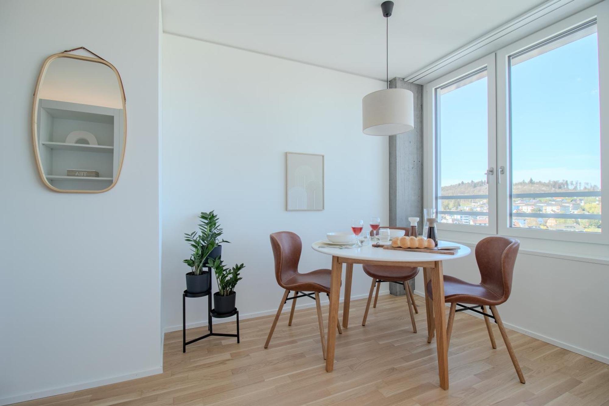Loewe Apartments Am Rheinfall Нойхаузен ам Райнфал Екстериор снимка